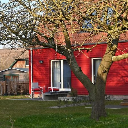 Ferienwohnung Rote Kate Born Ngoại thất bức ảnh