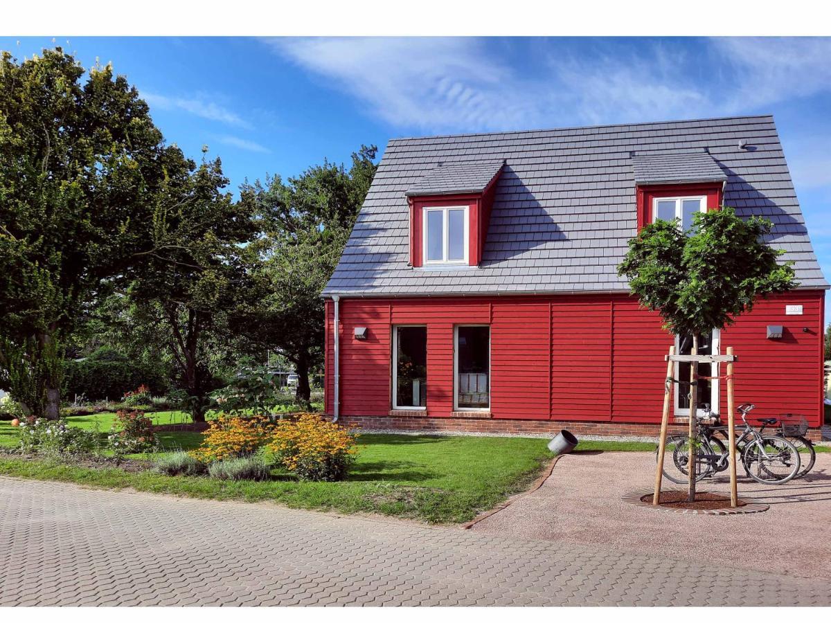 Ferienwohnung Rote Kate Born Ngoại thất bức ảnh