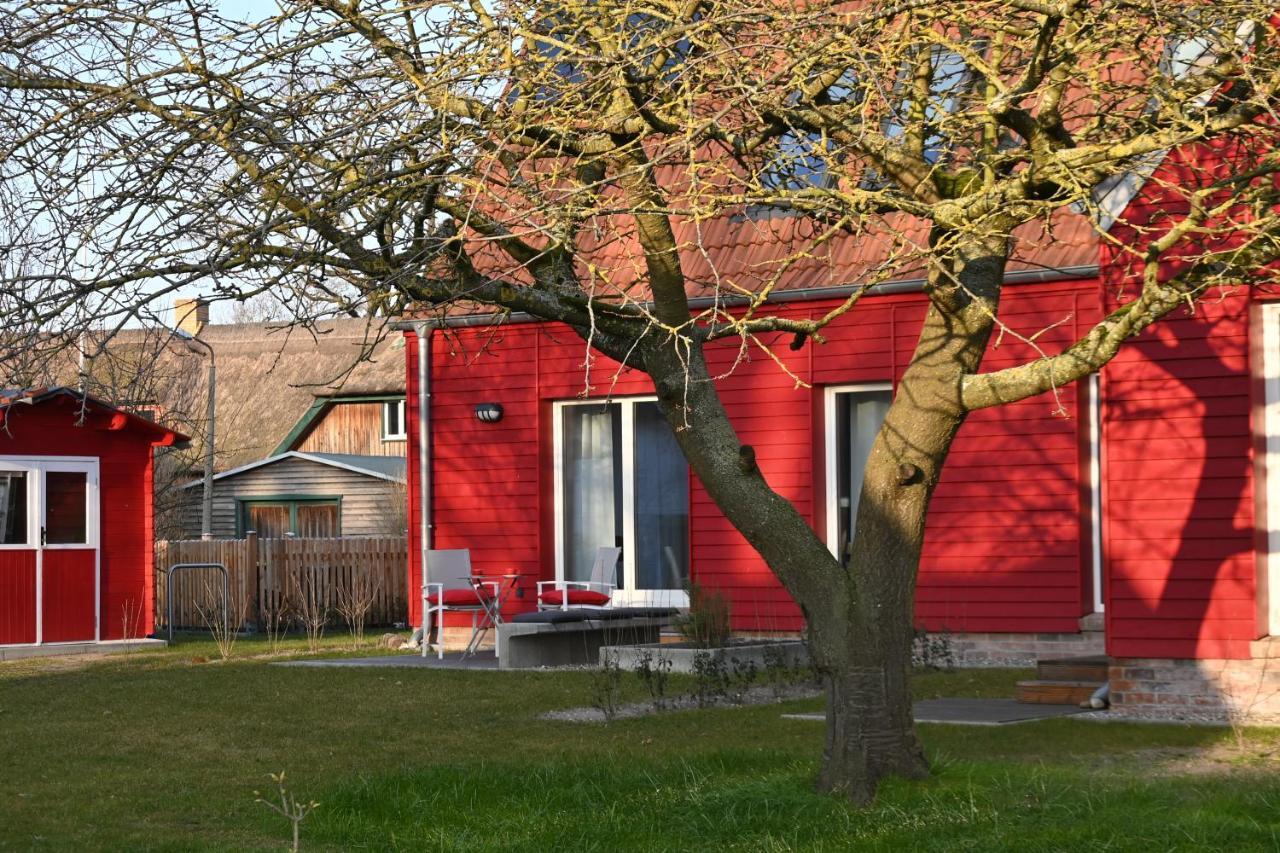 Ferienwohnung Rote Kate Born Ngoại thất bức ảnh